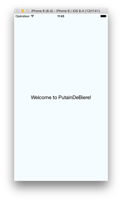 welcome PutainDeBiere preview